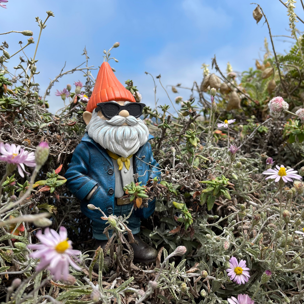 Gnome figurine with sunglasses and a hat amidst flowers and plants