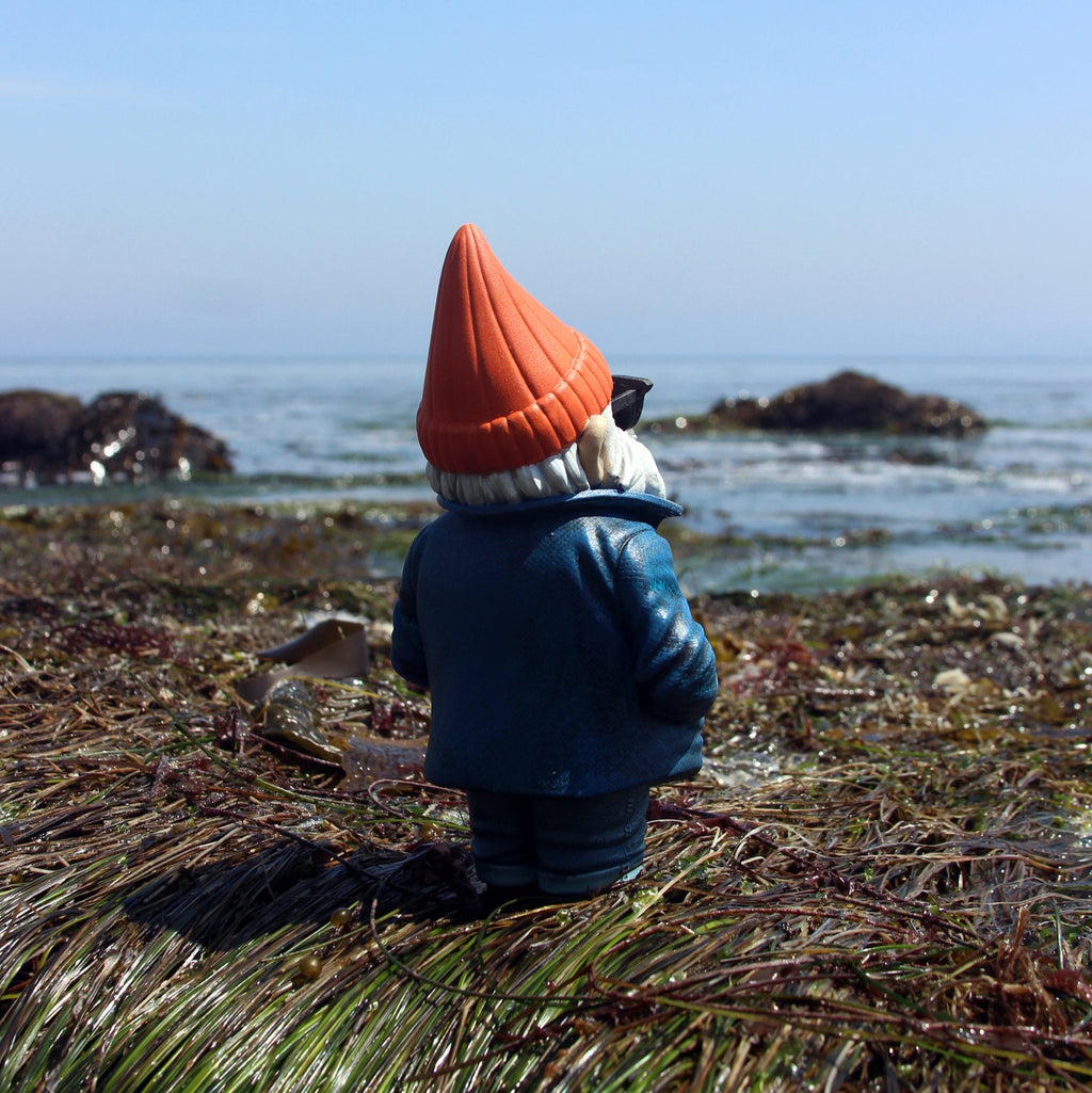Gnome wearing a blue coat and red gnome hat on a beach with ocean and rocks in the background