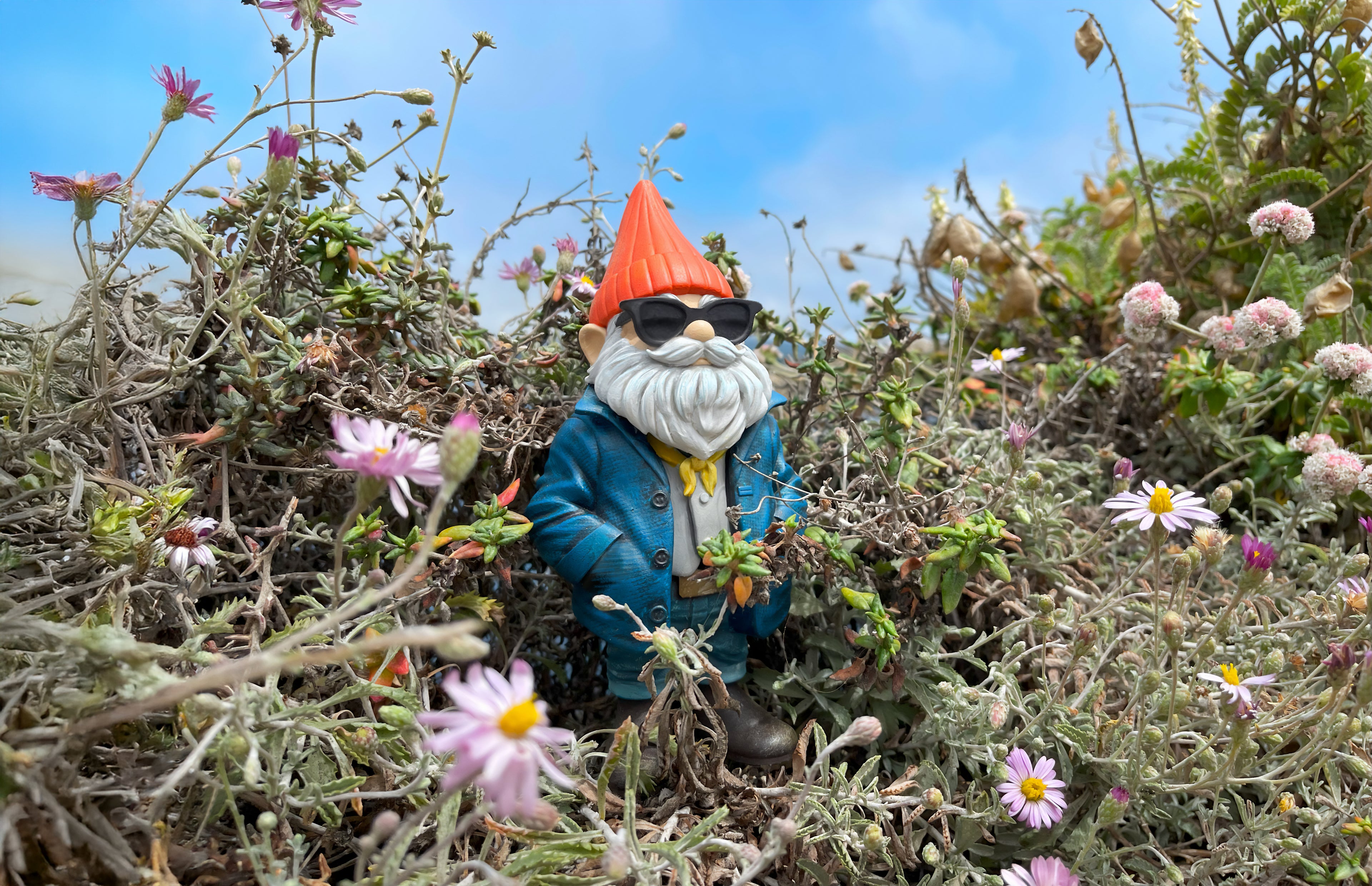 Gnome figurine with sunglasses standing among wildflowers and shrubs.